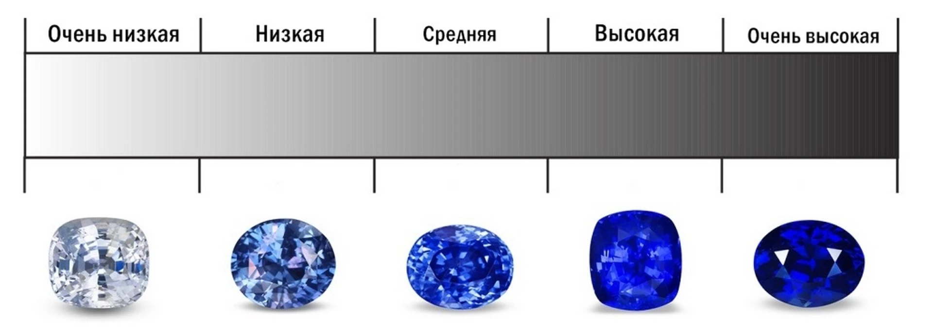 <p>На фото: шкала определения насыщенности оттенка.&nbsp;</p>
