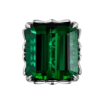 Кольцо «Гимн природной энергии»