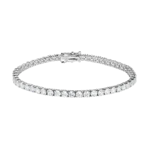 Браслет «Запечатленная красота» Браслет «Запечатленная красота»